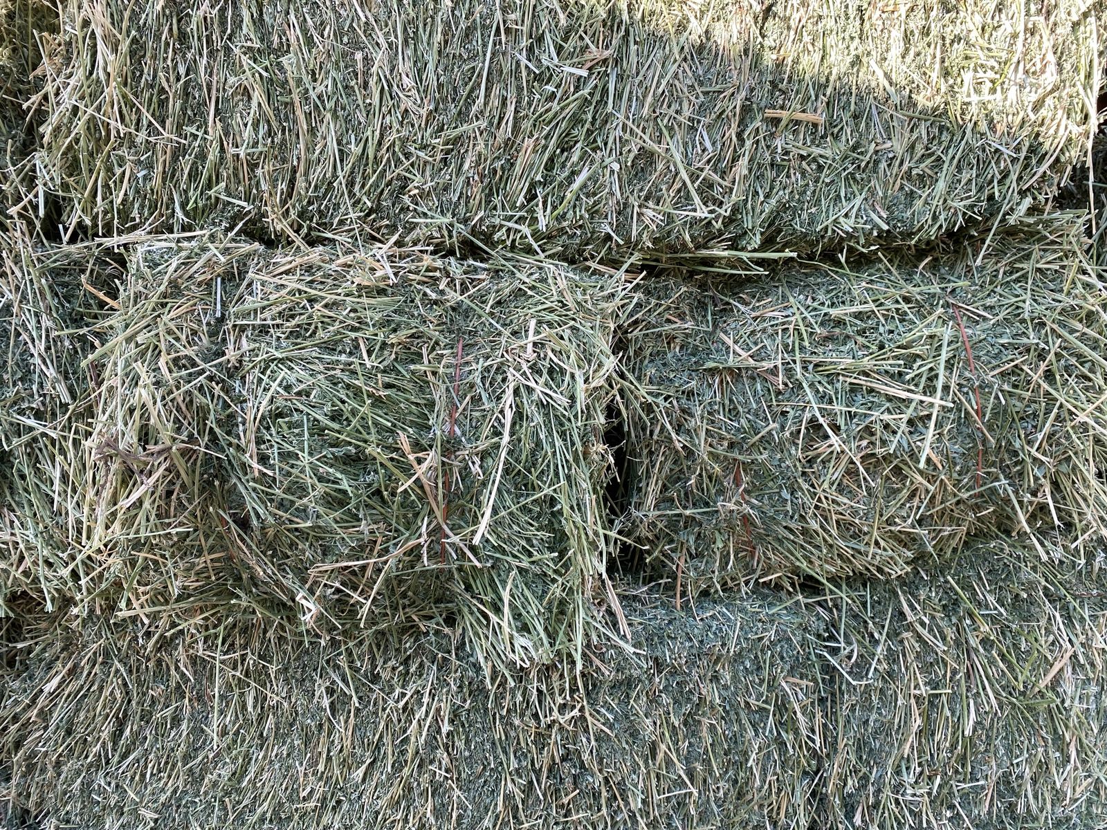 Alfalfa Small Bales - 2nd Crop Hay