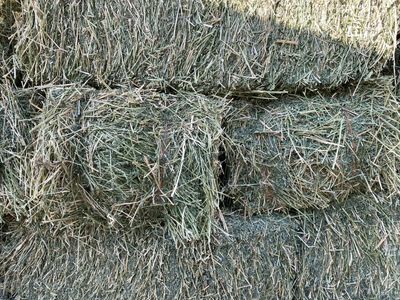 Alfalfa Small Bales - 2nd Crop Hay