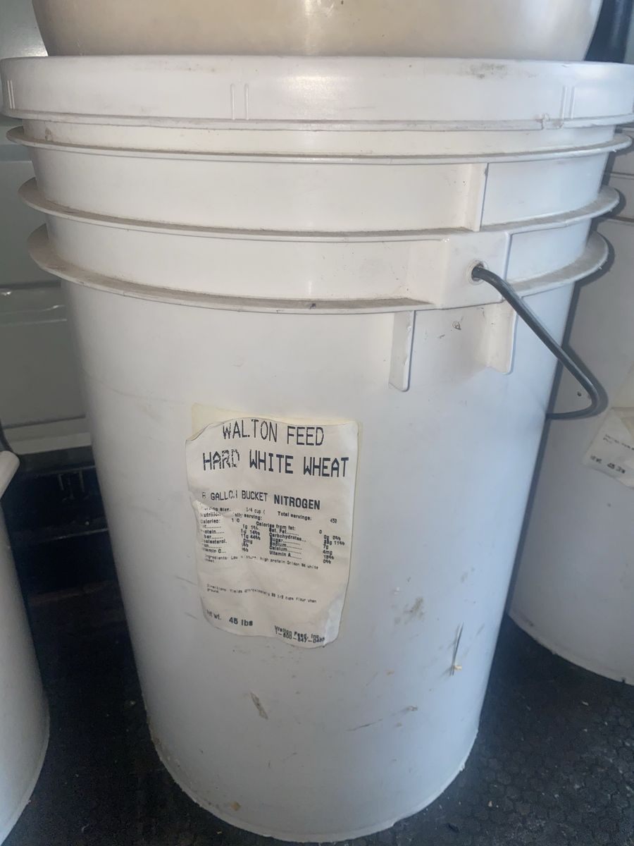 Hard White Wheat - Food Storage