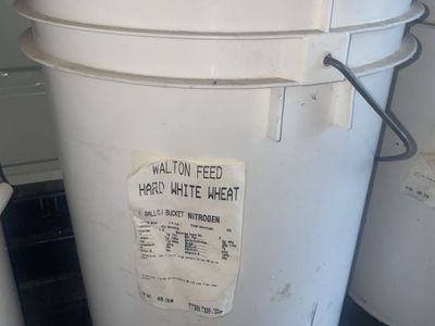 Hard White Wheat - Food Storage