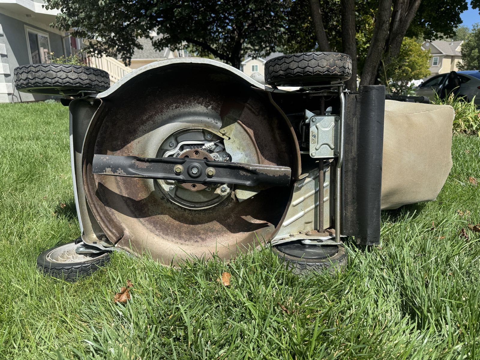 Main image 6