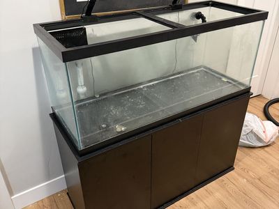 75 Gallon Saltwater Reef Aquarium Complete Setup w/ Stand, Lights, Sump Ready