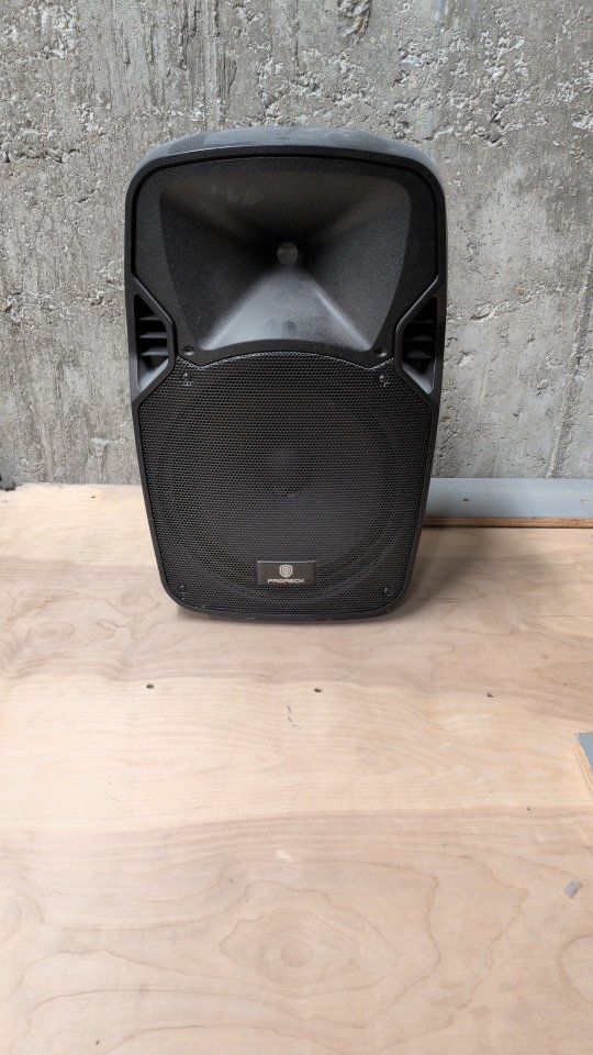 Proreck Party12 12" passive pa speaker