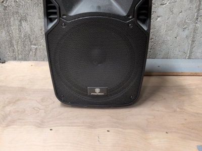 Proreck Party12 12" passive pa speaker