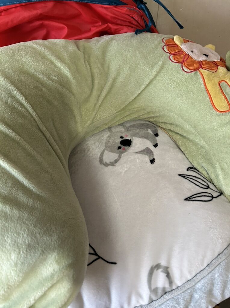 Free Nursing Pillow And Baby Crawl Mat