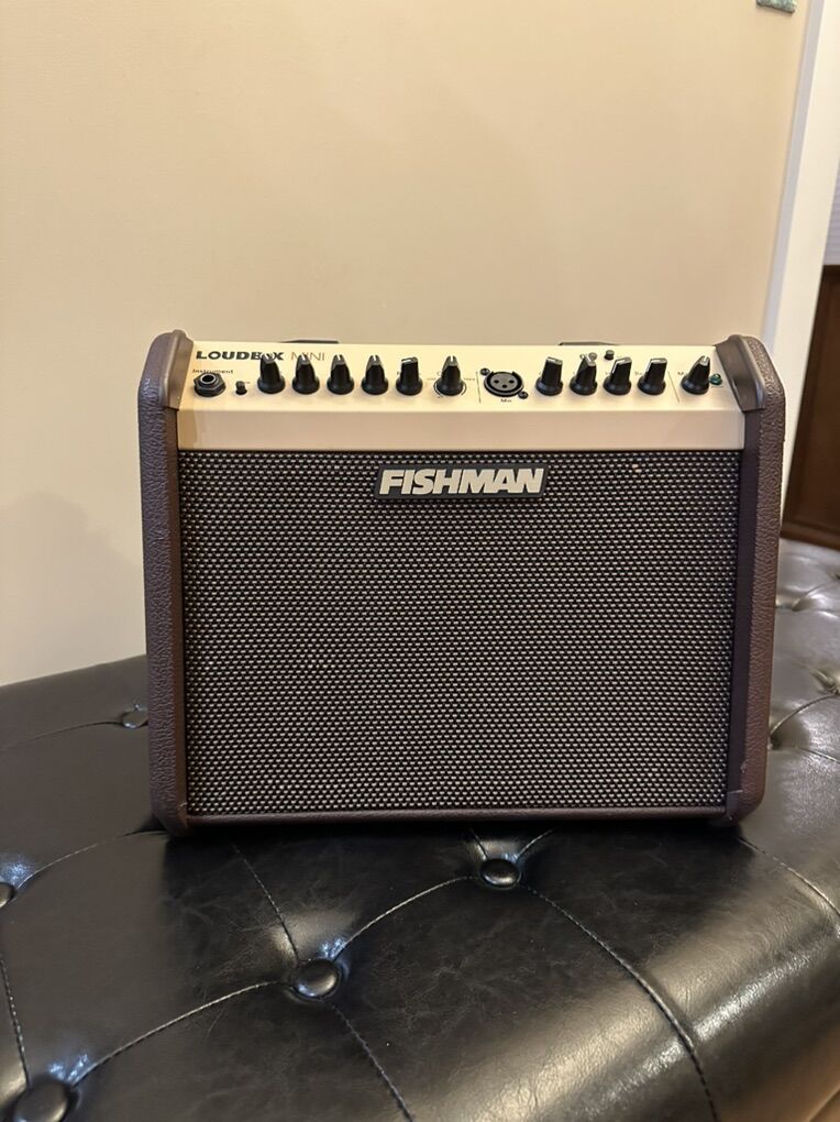 Fishman Loudbox Mini W/Bluetooth
