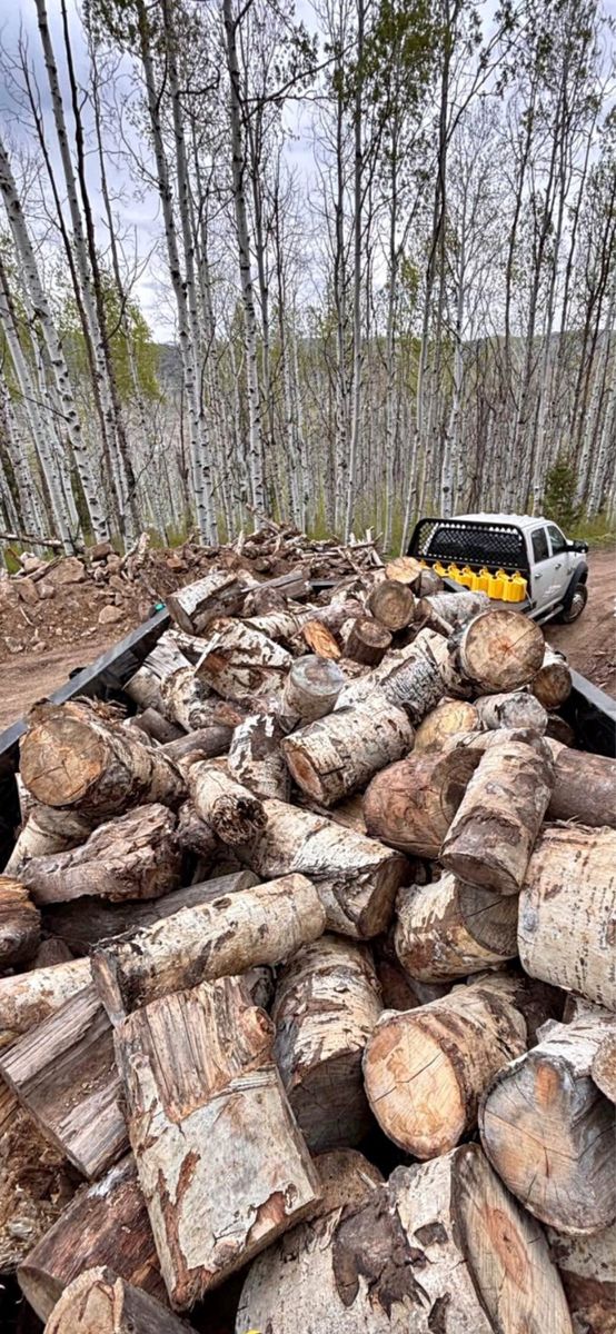 4 Cords of Quaken Aspen Firewood Rounds