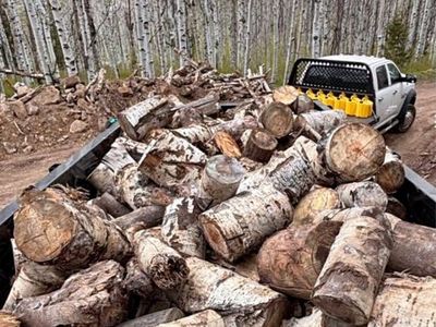 4 Cords of Quaken Aspen Firewood Rounds