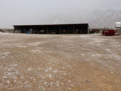 Stalls for rent mona