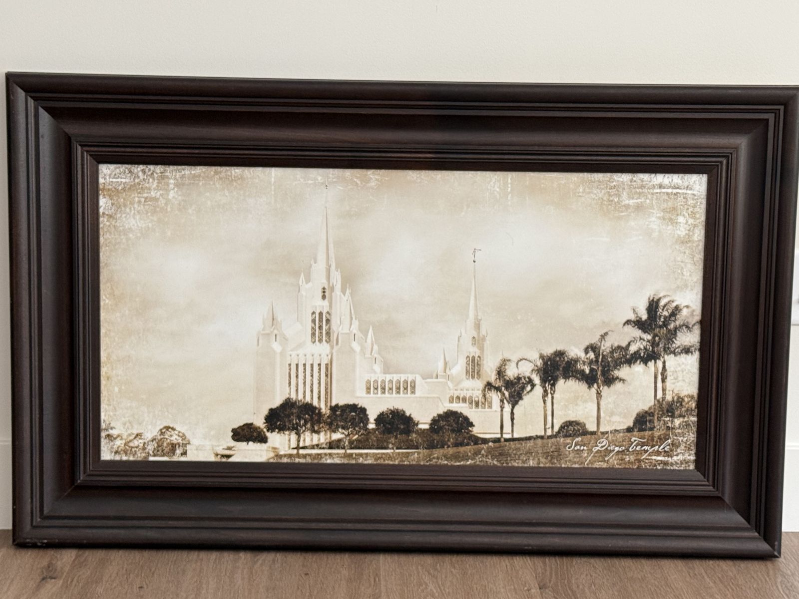 San Diego Temple Portrait
