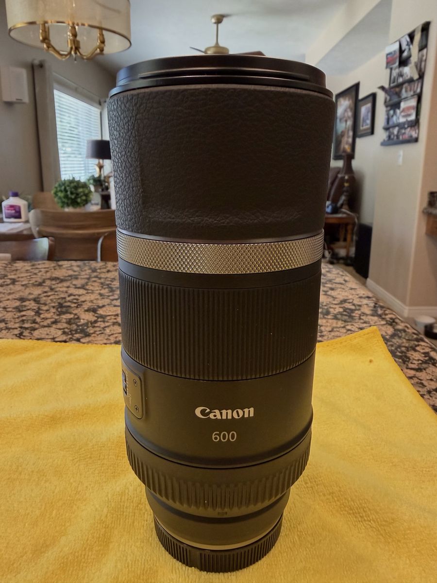 Canon RF 600mm F11 IS STM Lens