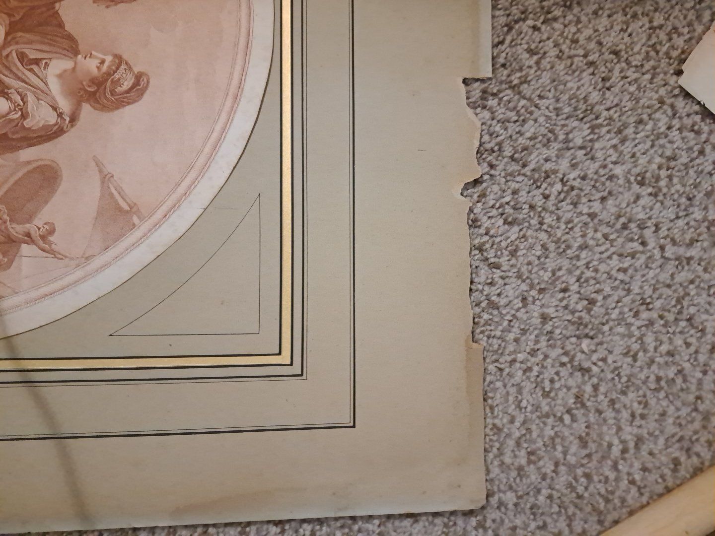 Main image 5
