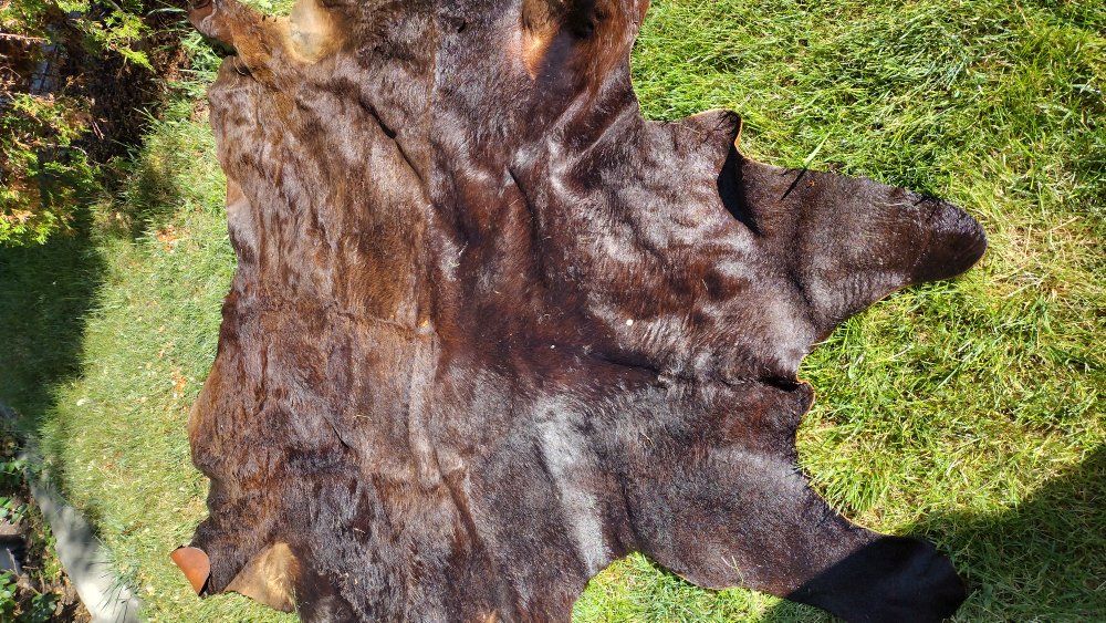 Cowhide Rug. A charming addition to any room in yo