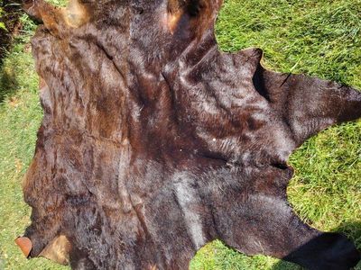 Cowhide Rug. A charming addition to any room in yo