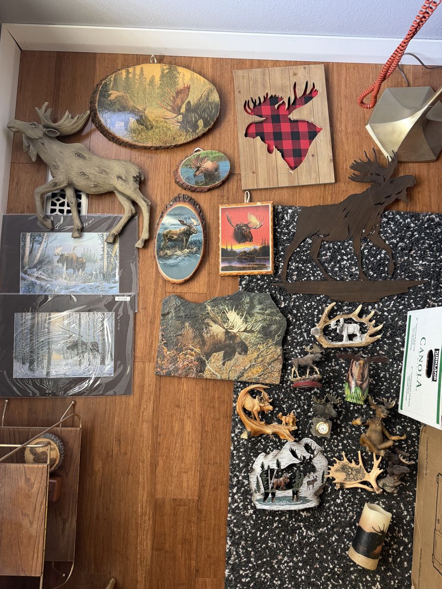 Moose Decor Items 