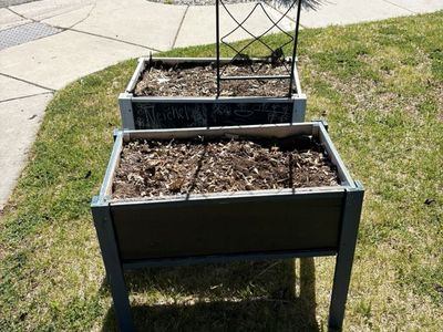 Free Planters
