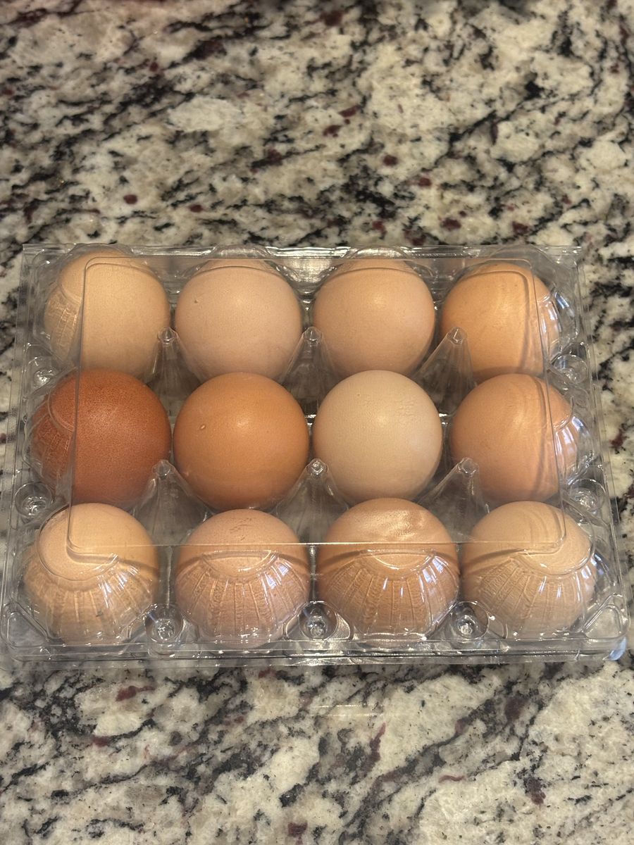 Large Farm Fresh Eggs