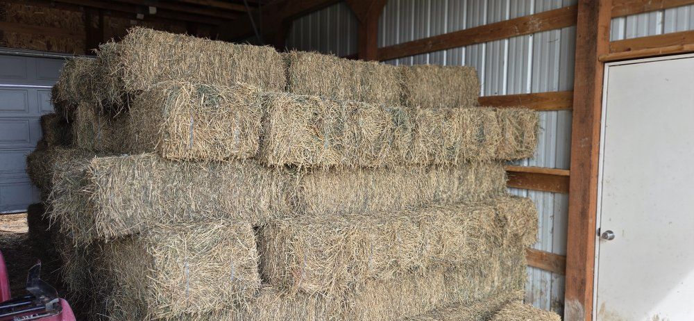 Alfalfa  small bales