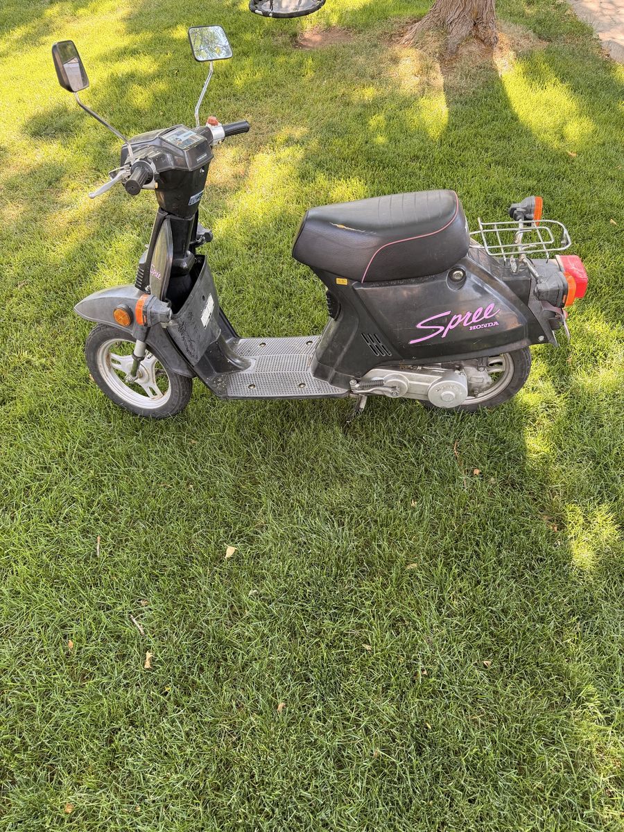 Black Honda Spree