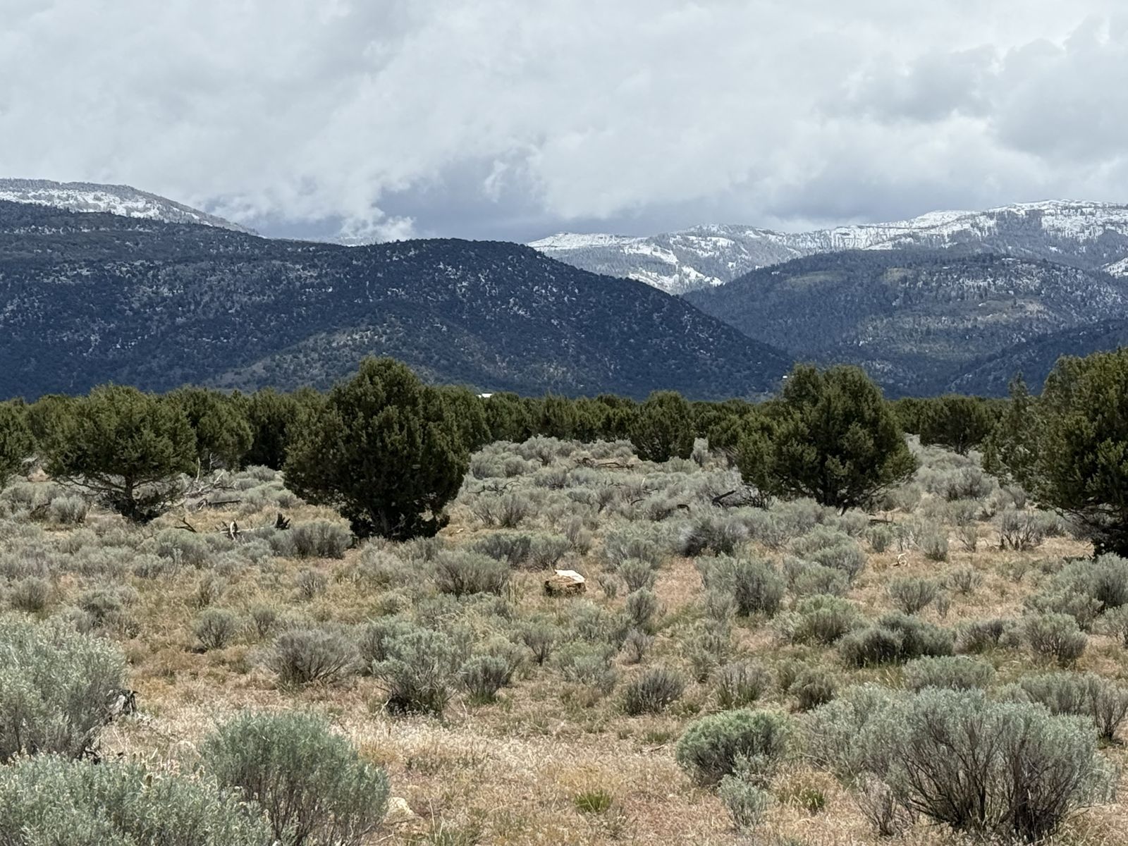 Beautiful 5 Acre Ranch just outside of Spring City