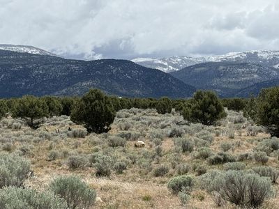 Beautiful 5 Acre Ranch just outside of Spring City