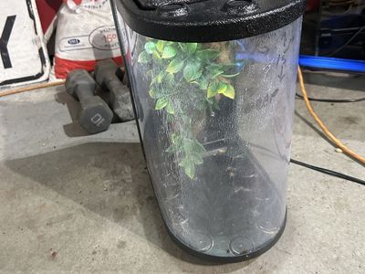 Small cage