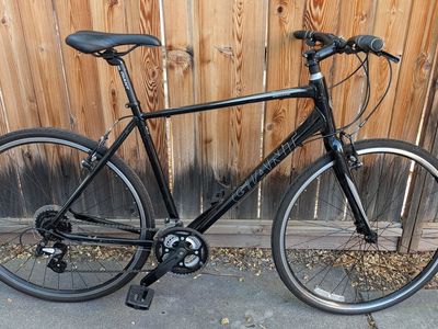 Giant Escape Hybrid 20 in.