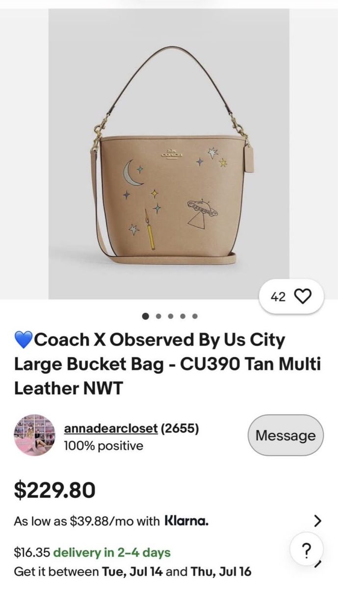 Coach bag x observed