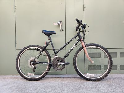 Roadmaster Untamed stepthrough bike SB115-26