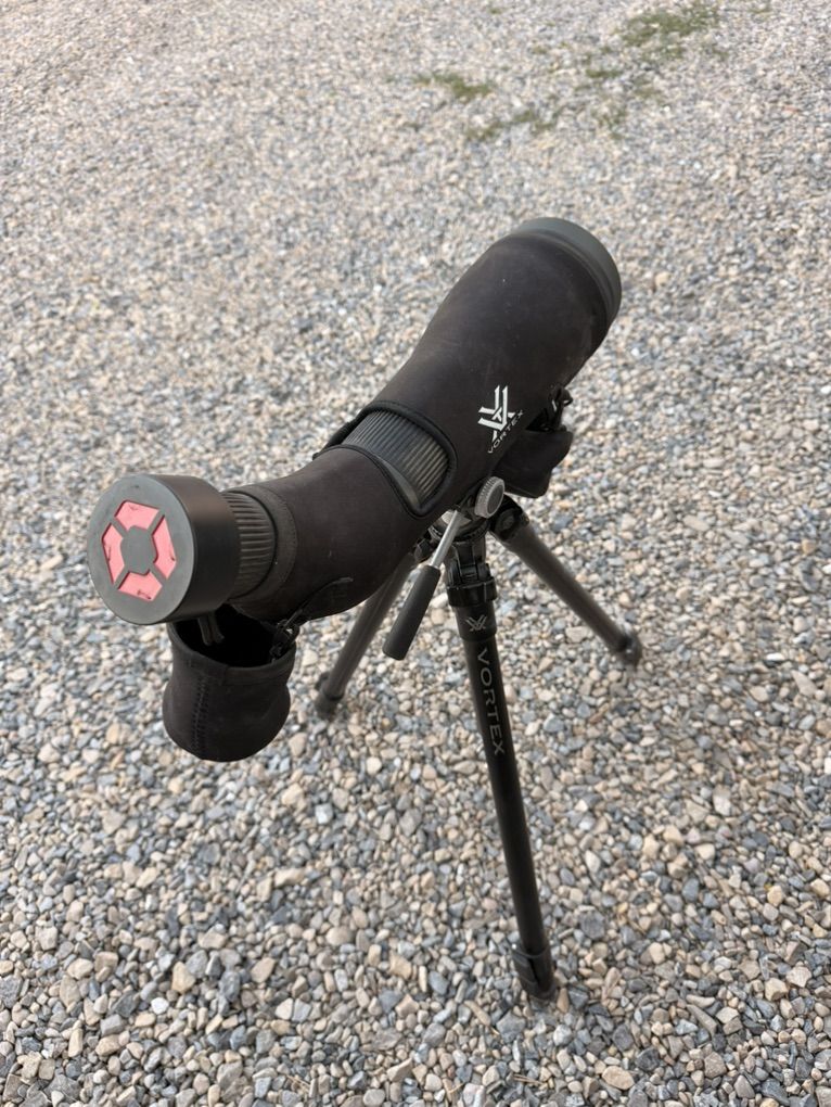 Main image 6