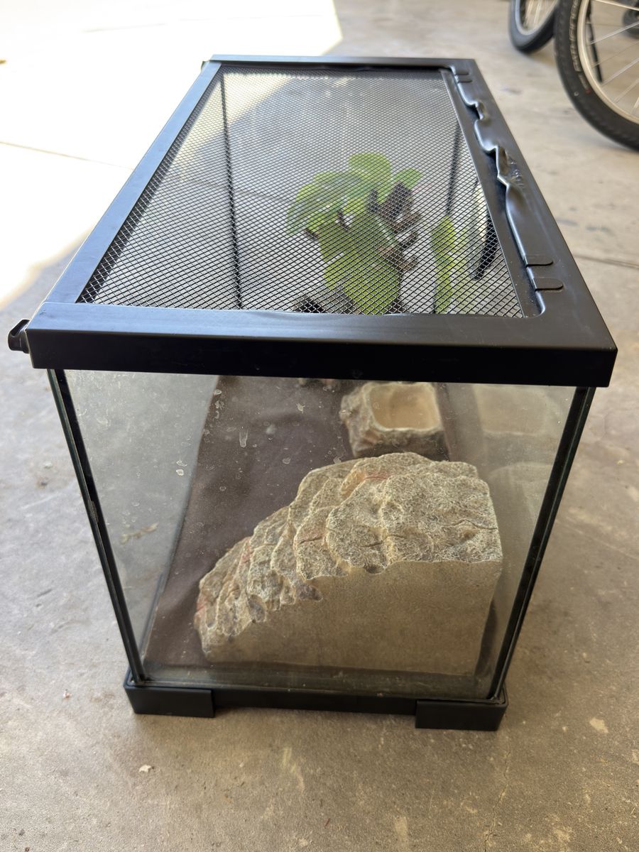 Glass Reptile Terrarium Tank with Mesh Screen Lid and Accessories