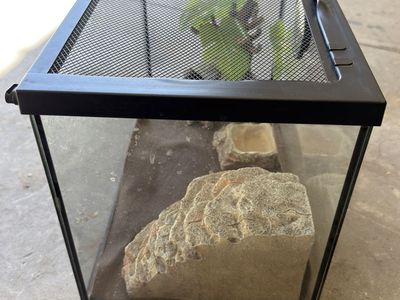 Glass Reptile Terrarium Tank with Mesh Screen Lid and Accessories