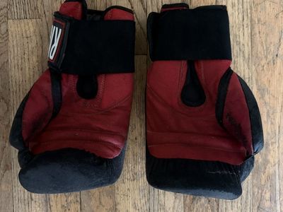 Boxing gloves