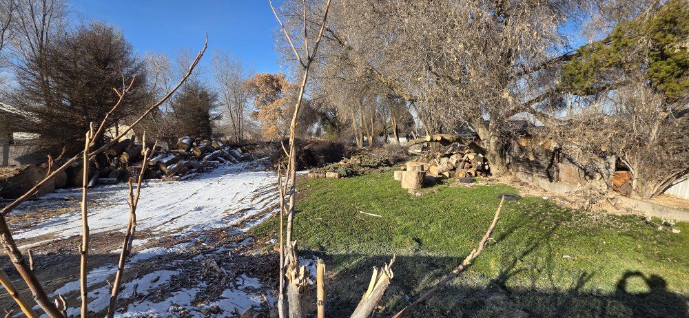 Free Firewood or Lumbar