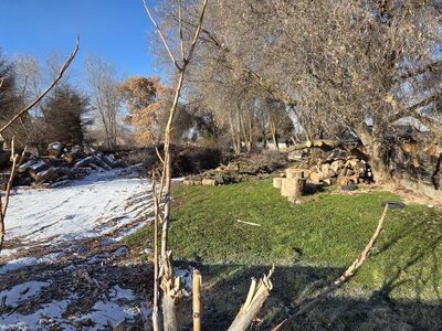 Free Firewood or Lumbar