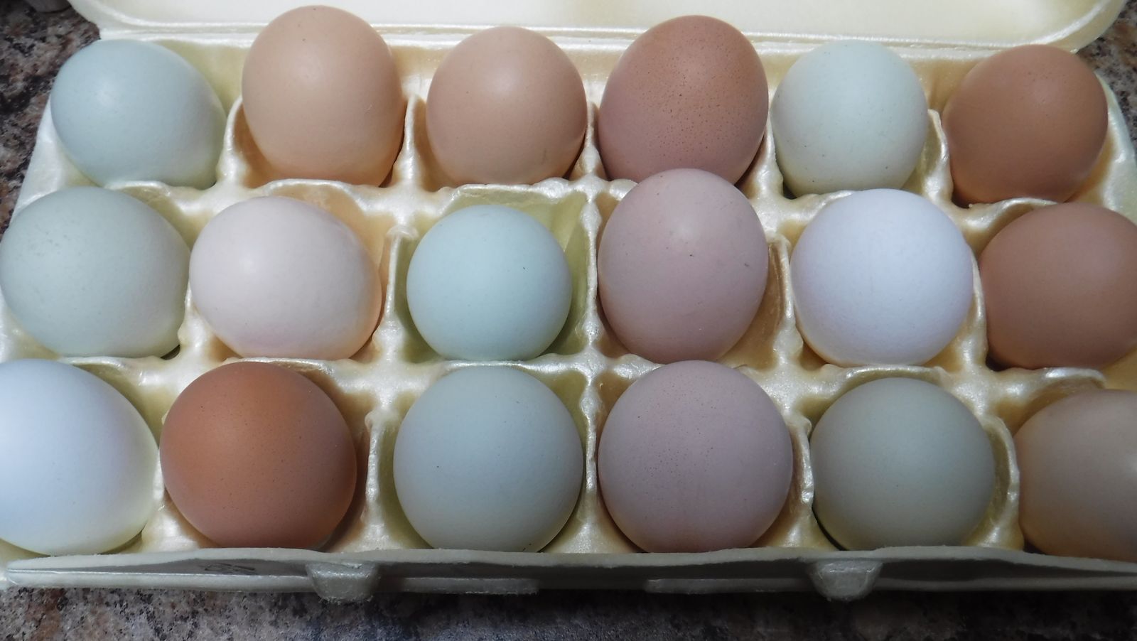 Clean,fresh eggs $5 dozen