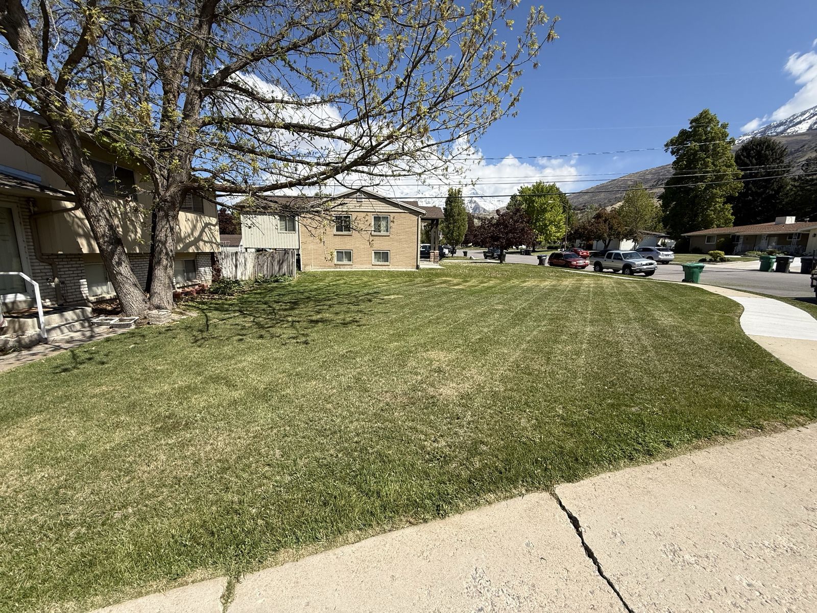 Main image 4