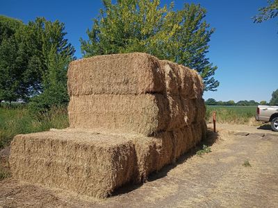 Cow Hay For Sale