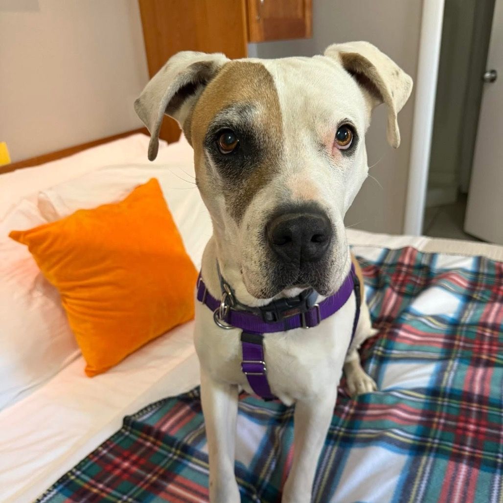 Hello my name is Stickers