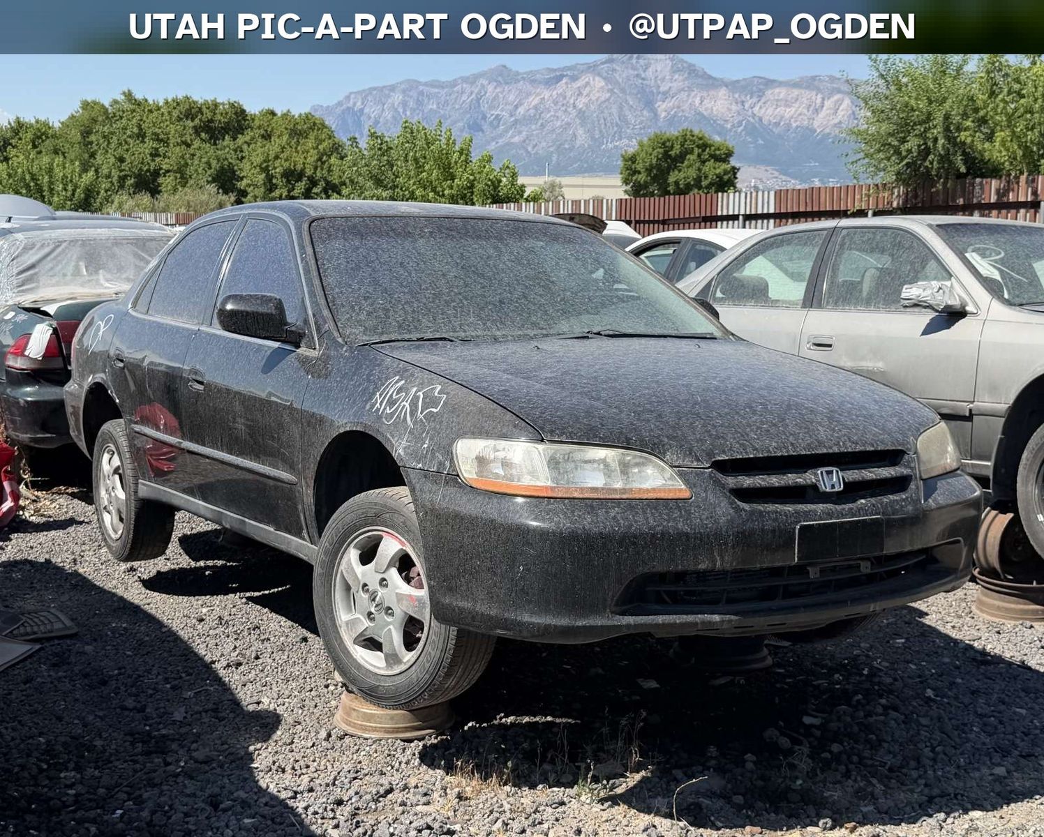 2000 Honda Accord Parts - UTPAP Ogden