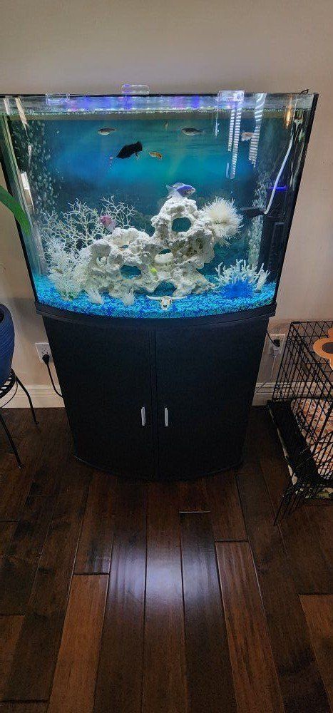 Fish Tank (W/fish)