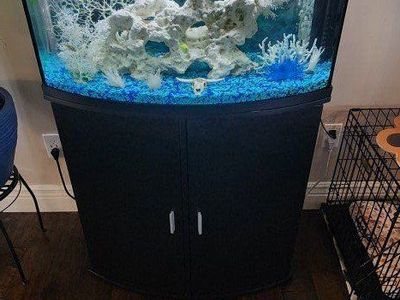 Fish Tank (W/fish)