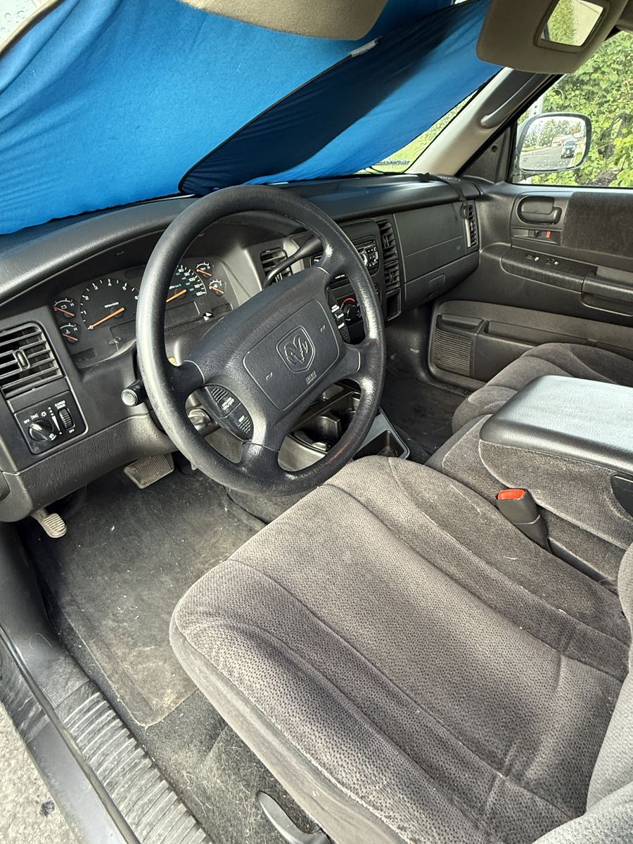 Main image 6