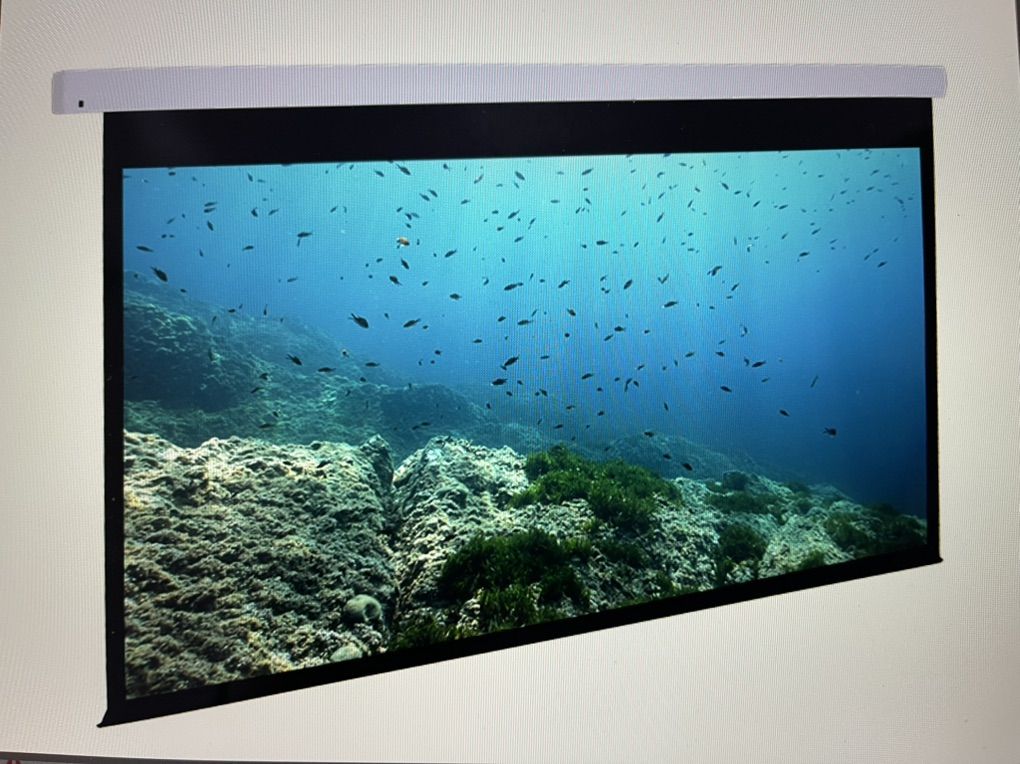 110 Motorized Projection Screen