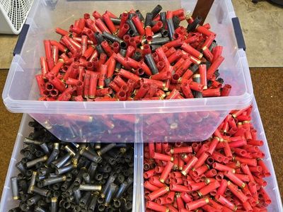 AA Winchester 12ga hulls/shells