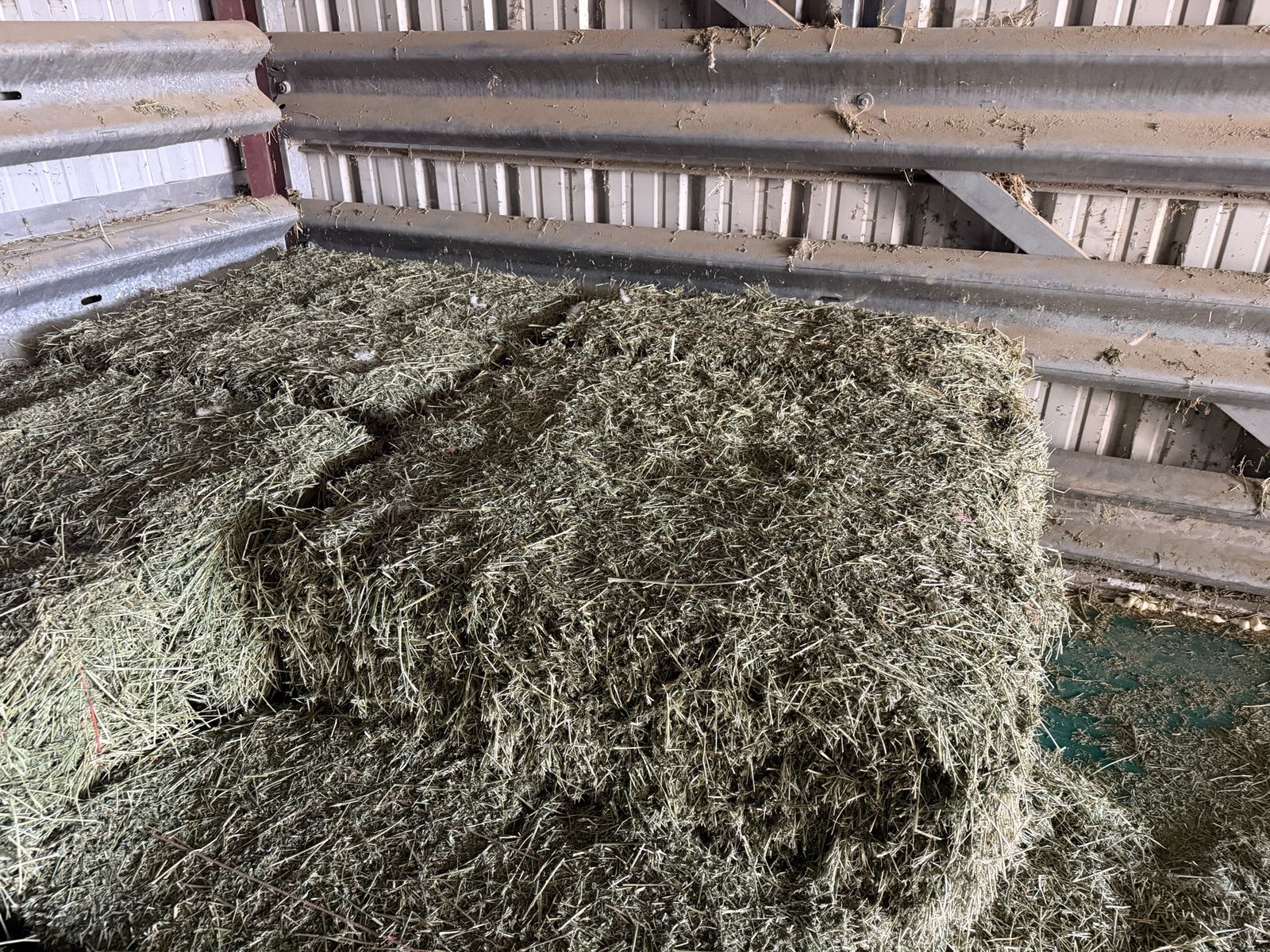 Alfalfa Hay Bales - Premium Quality Feed for Livestock