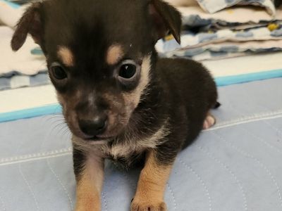 Hello my name is Briar