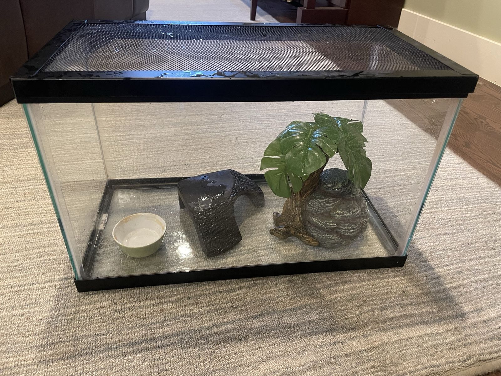 10 gal tank