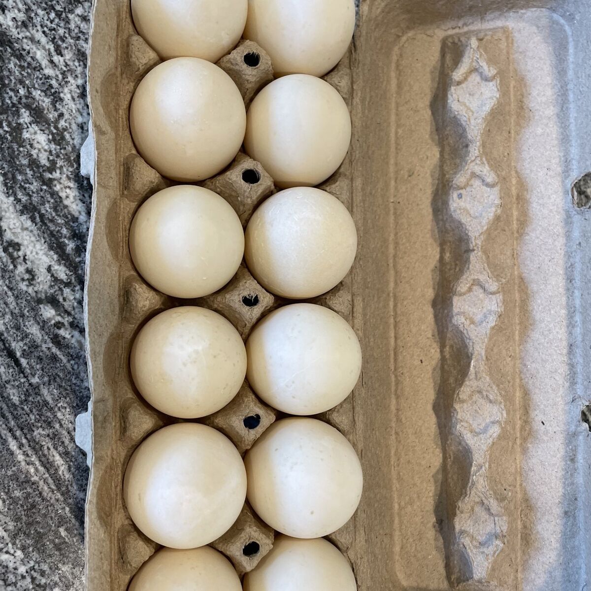 Fresh Duck Eggs