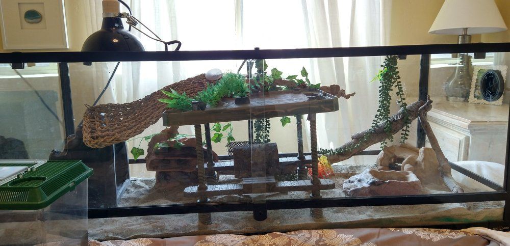 Reptile tank XL and equipment